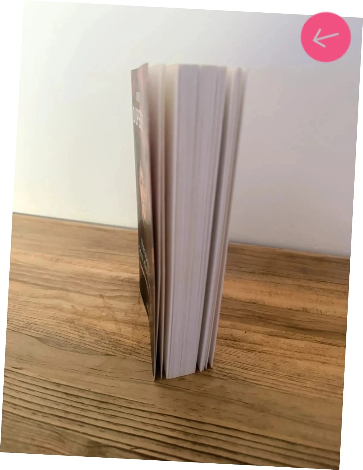 Boek Anny Duperey ademt, het is jodium – photo 10